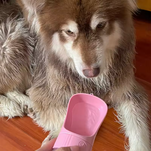 Dogr™ Portable Water Bottle