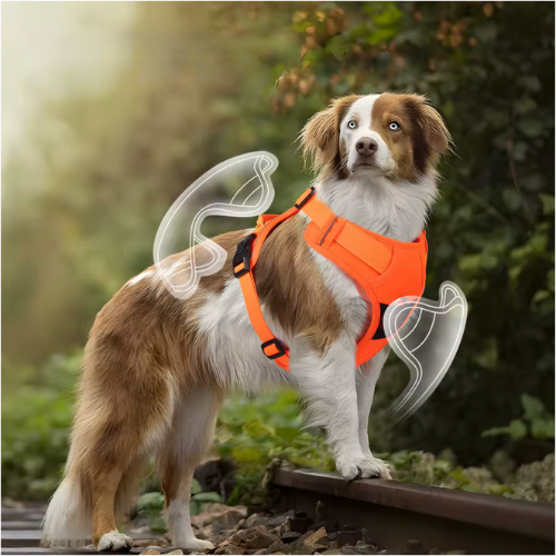 Dogr™ Safety Harness