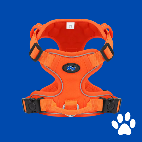 Dogr™ Safety Harness