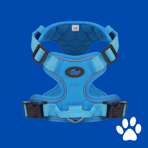 Dogr™ Safety Harness