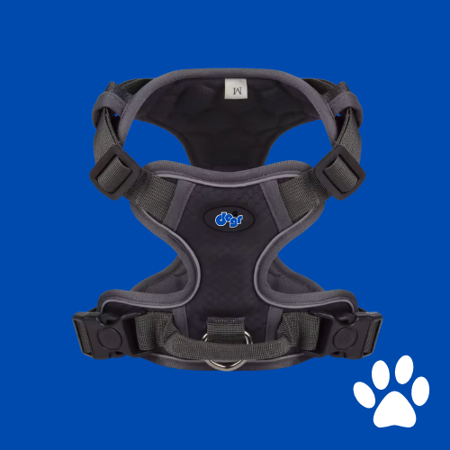 Dogr™ Safety Harness